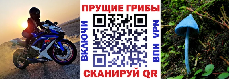 магазин  наркотиков  Набережные Челны  Галлюциногенные грибы Cubensis 