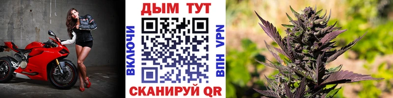 Шишки марихуана VHQ  дарнет шоп  Набережные Челны 